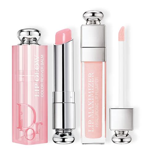 dior airport exclusive lip buckle set|Dior .